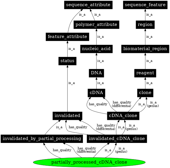 Graph image for SO:0000813