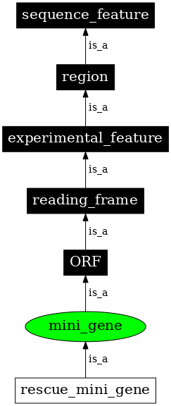 Graph image for SO:0000815