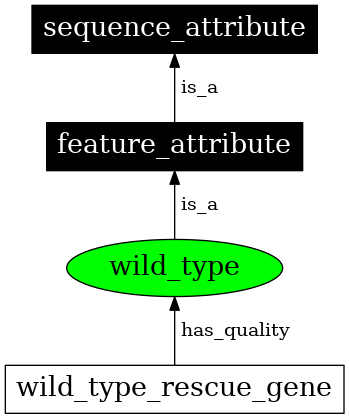 Graph image for SO:0000817