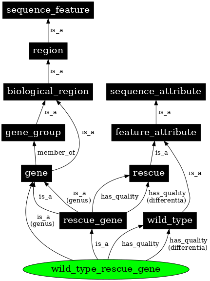 Graph image for SO:0000818