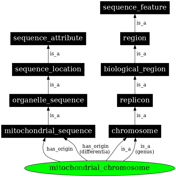 Graph image for SO:0000819