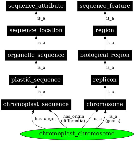 Graph image for SO:0000821