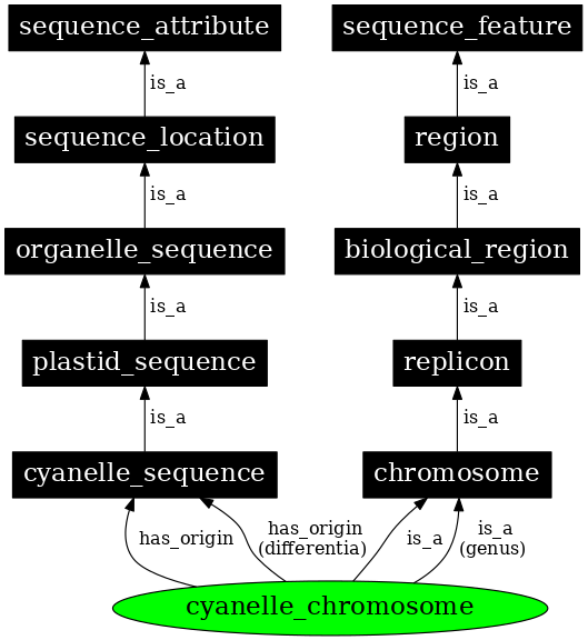 Graph image for SO:0000822