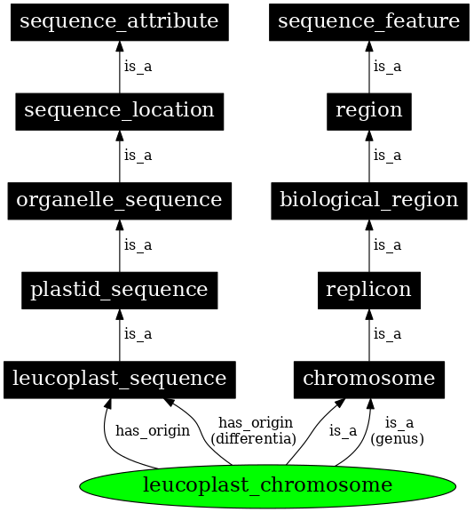 Graph image for SO:0000823