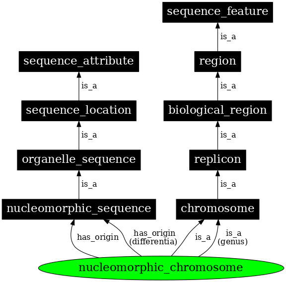 Graph image for SO:0000829