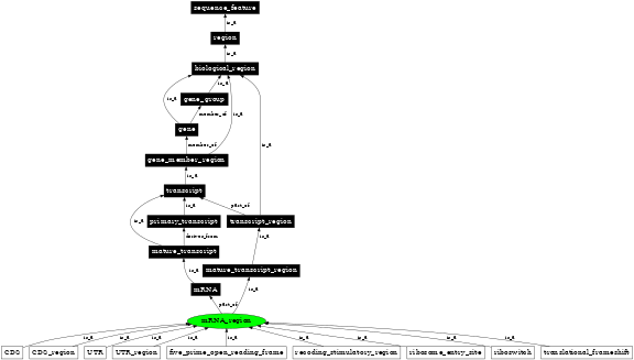 Graph image for SO:0000836