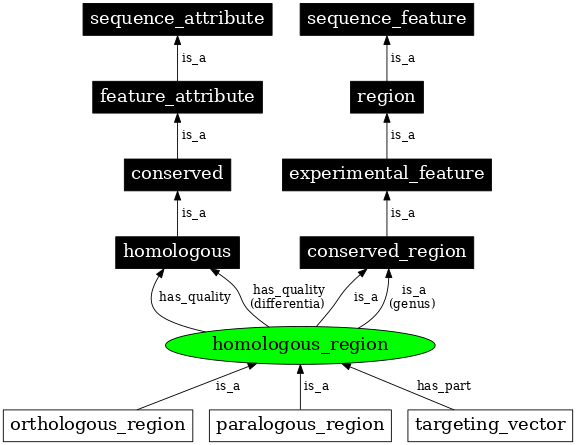 Graph image for SO:0000853