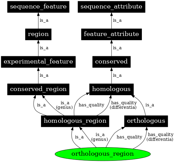 Graph image for SO:0000855