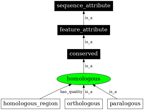 Graph image for SO:0000857