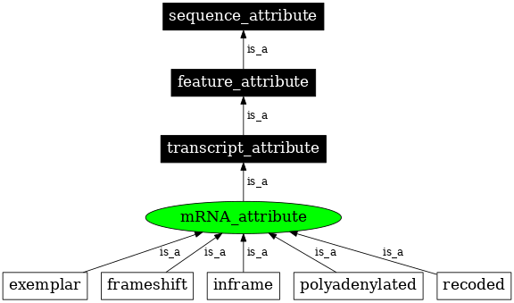 Graph image for SO:0000863