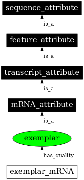 Graph image for SO:0000864