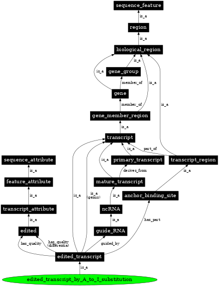 Graph image for SO:0000874