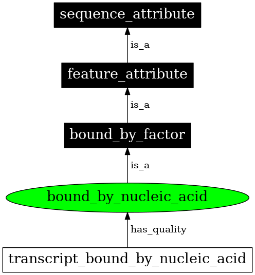 Graph image for SO:0000876