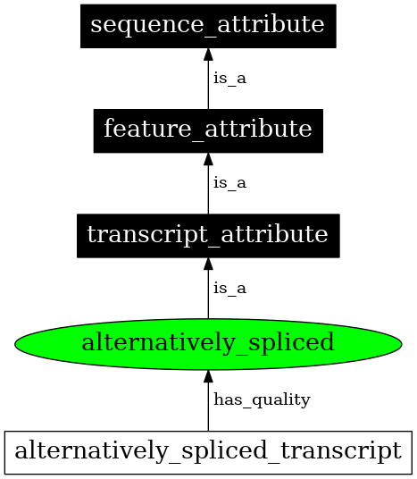 Graph image for SO:0000877