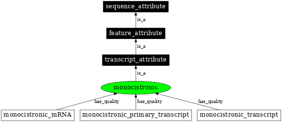 Graph image for SO:0000878