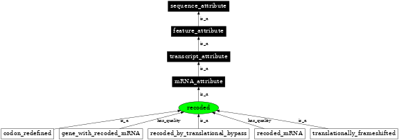 Graph image for SO:0000881