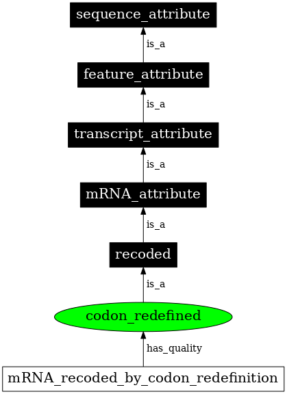 Graph image for SO:0000882