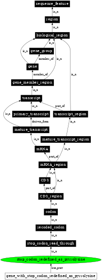 Graph image for SO:0000884