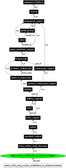 Graph image for SO:0000885