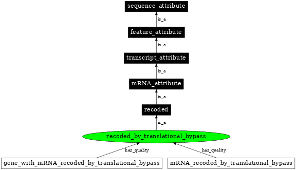 Graph image for SO:0000886