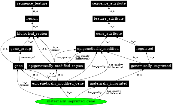 Graph image for SO:0000888