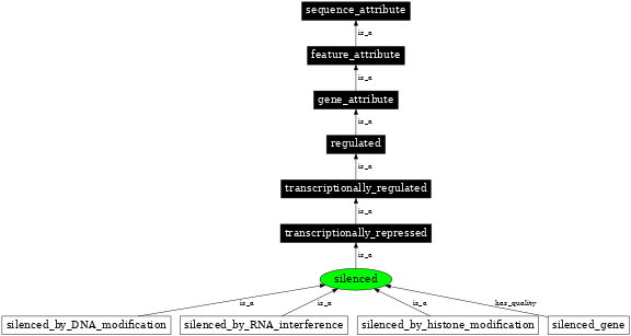 Graph image for SO:0000893