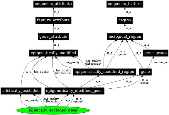 Graph image for SO:0000897