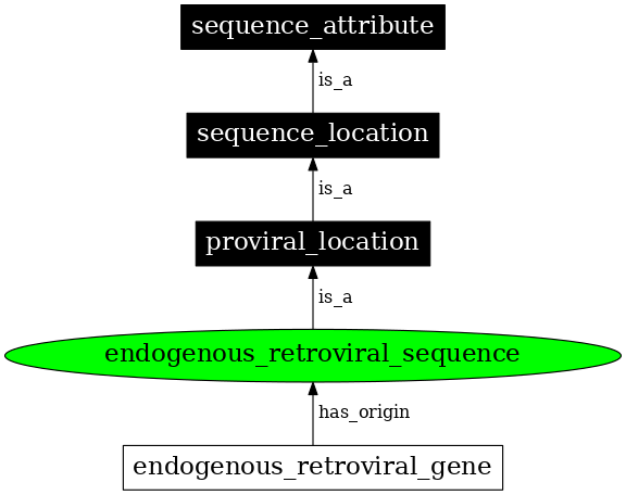 Graph image for SO:0000903