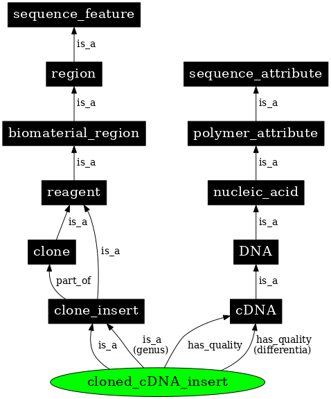 Graph image for SO:0000913