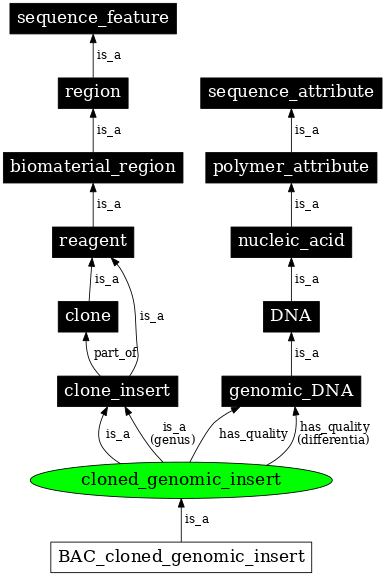 Graph image for SO:0000914