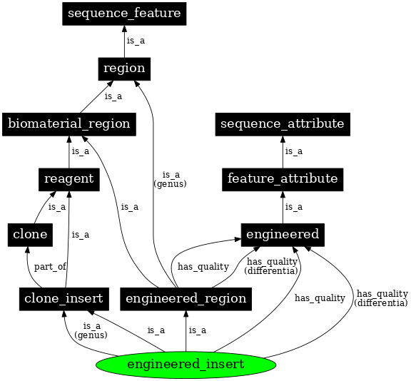 Graph image for SO:0000915