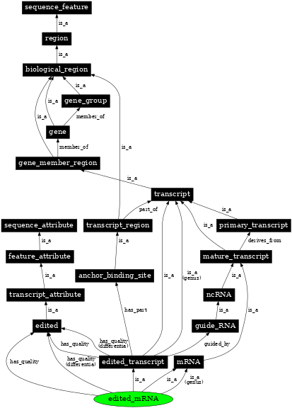 Graph image for SO:0000929