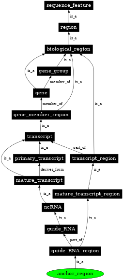 Graph image for SO:0000931