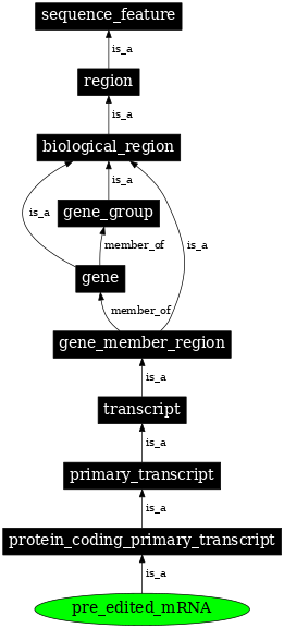 Graph image for SO:0000932