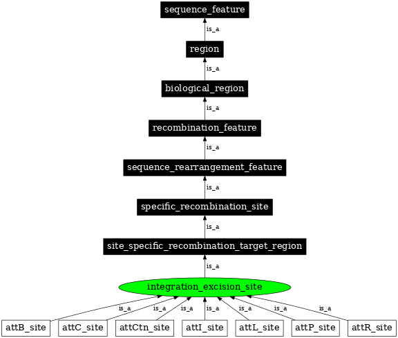 Graph image for SO:0000946