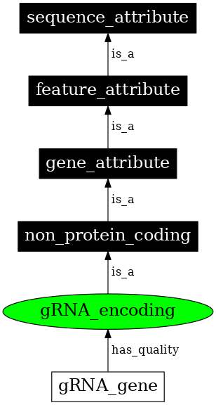 Graph image for SO:0000979