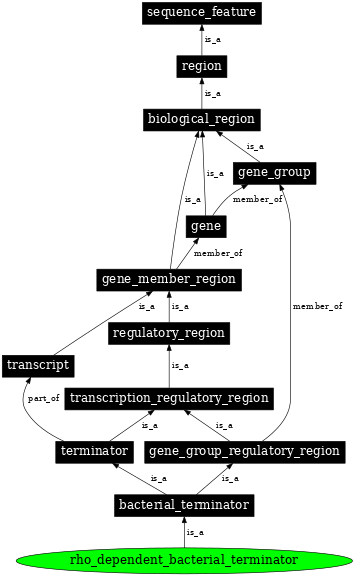 Graph image for SO:0000981