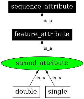 Graph image for SO:0000983