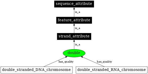 Graph image for SO:0000985