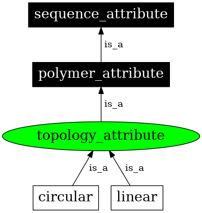 Graph image for SO:0000986