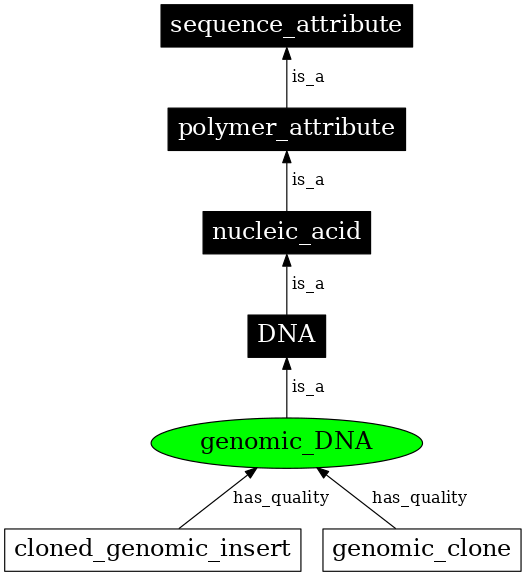 Graph image for SO:0000991