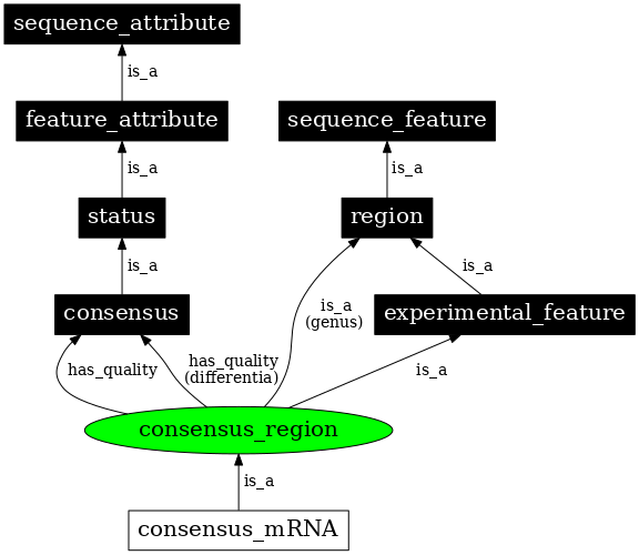 Graph image for SO:0000994