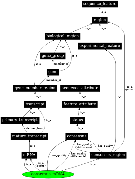 Graph image for SO:0000995