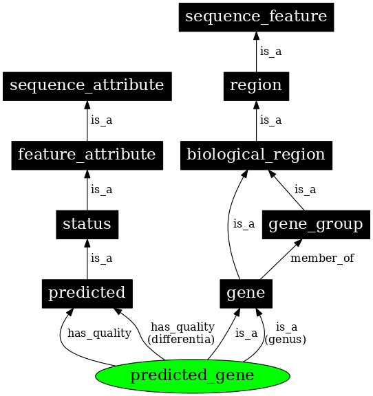 Graph image for SO:0000996