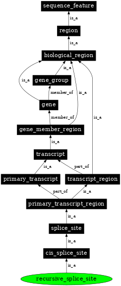 Graph image for SO:0000998