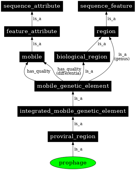 Graph image for SO:0001006