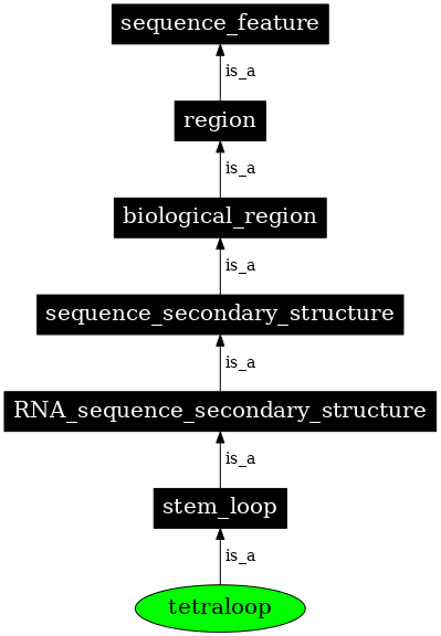 Graph image for SO:0001008