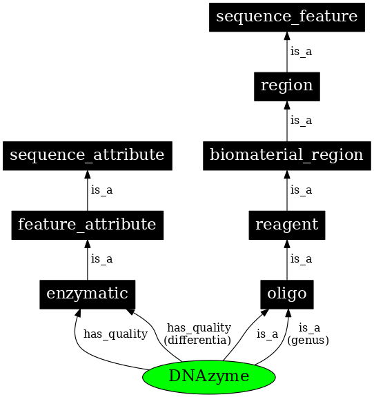 Graph image for SO:0001012