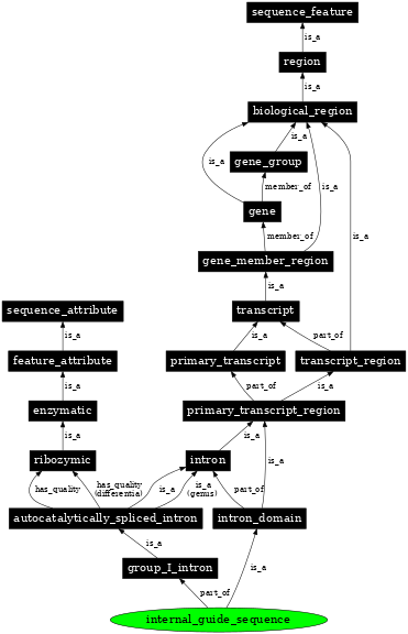 Graph image for SO:0001016