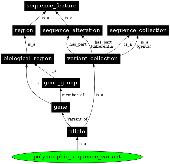 Graph image for SO:0001025